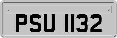 PSU1132