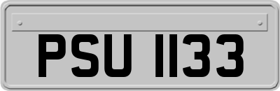 PSU1133