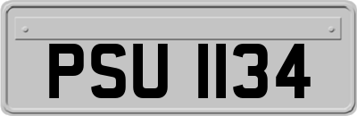 PSU1134