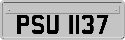 PSU1137