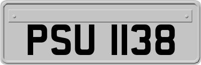 PSU1138