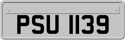 PSU1139