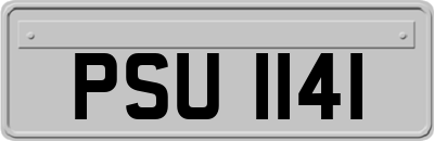 PSU1141