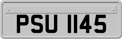 PSU1145