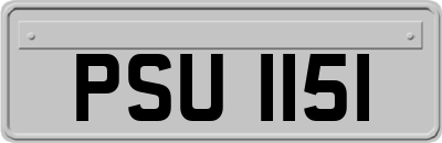 PSU1151