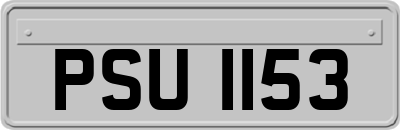 PSU1153