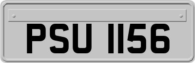 PSU1156