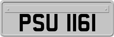 PSU1161