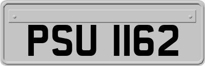 PSU1162