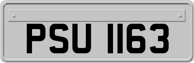 PSU1163