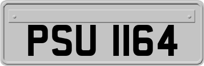 PSU1164