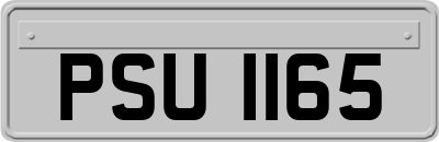 PSU1165