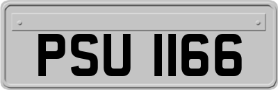 PSU1166
