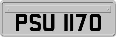 PSU1170