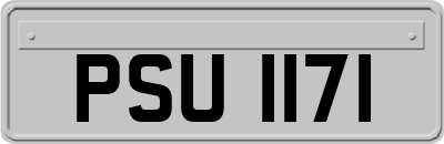 PSU1171