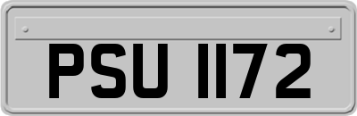 PSU1172