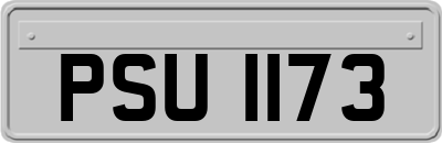 PSU1173