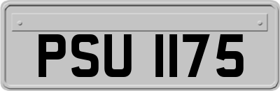 PSU1175