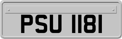 PSU1181