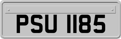PSU1185