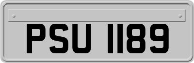 PSU1189
