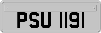 PSU1191