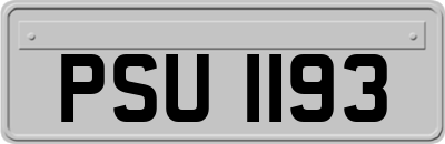 PSU1193