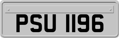 PSU1196
