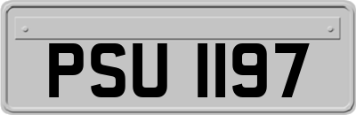 PSU1197