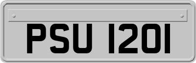 PSU1201
