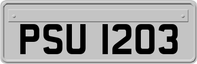 PSU1203