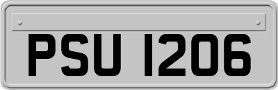 PSU1206
