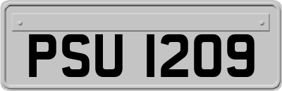 PSU1209