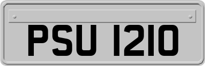 PSU1210