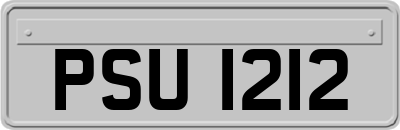 PSU1212