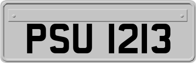 PSU1213