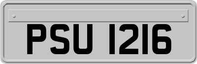 PSU1216