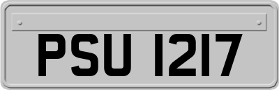 PSU1217
