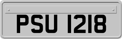 PSU1218
