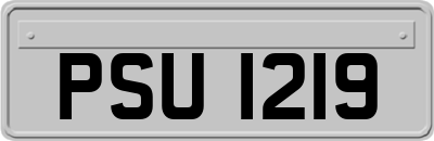 PSU1219