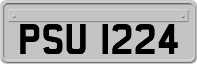 PSU1224
