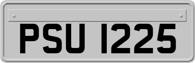 PSU1225