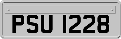 PSU1228