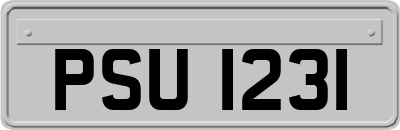 PSU1231
