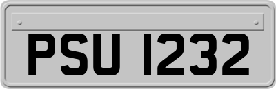 PSU1232