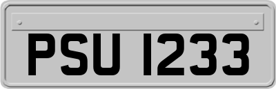 PSU1233