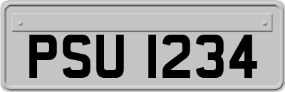 PSU1234