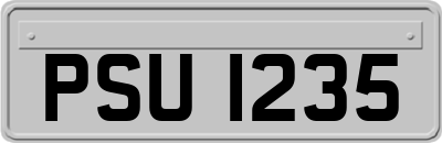 PSU1235