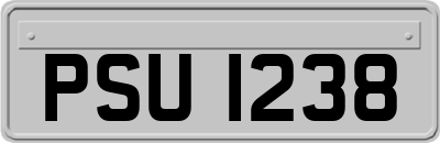 PSU1238