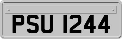 PSU1244